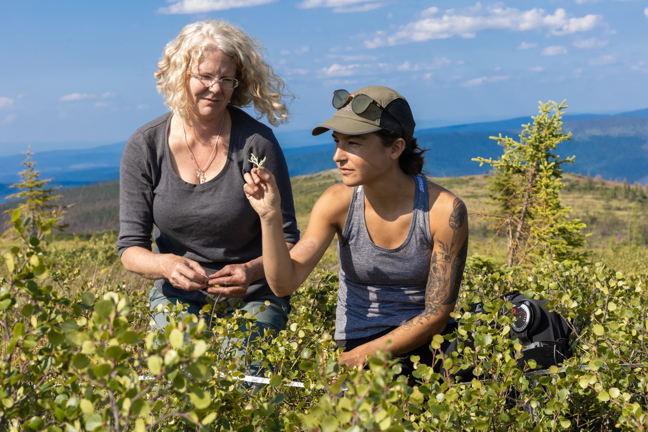NAU faculty and student crouch in the grass and study a branch from a nearby tree growth.