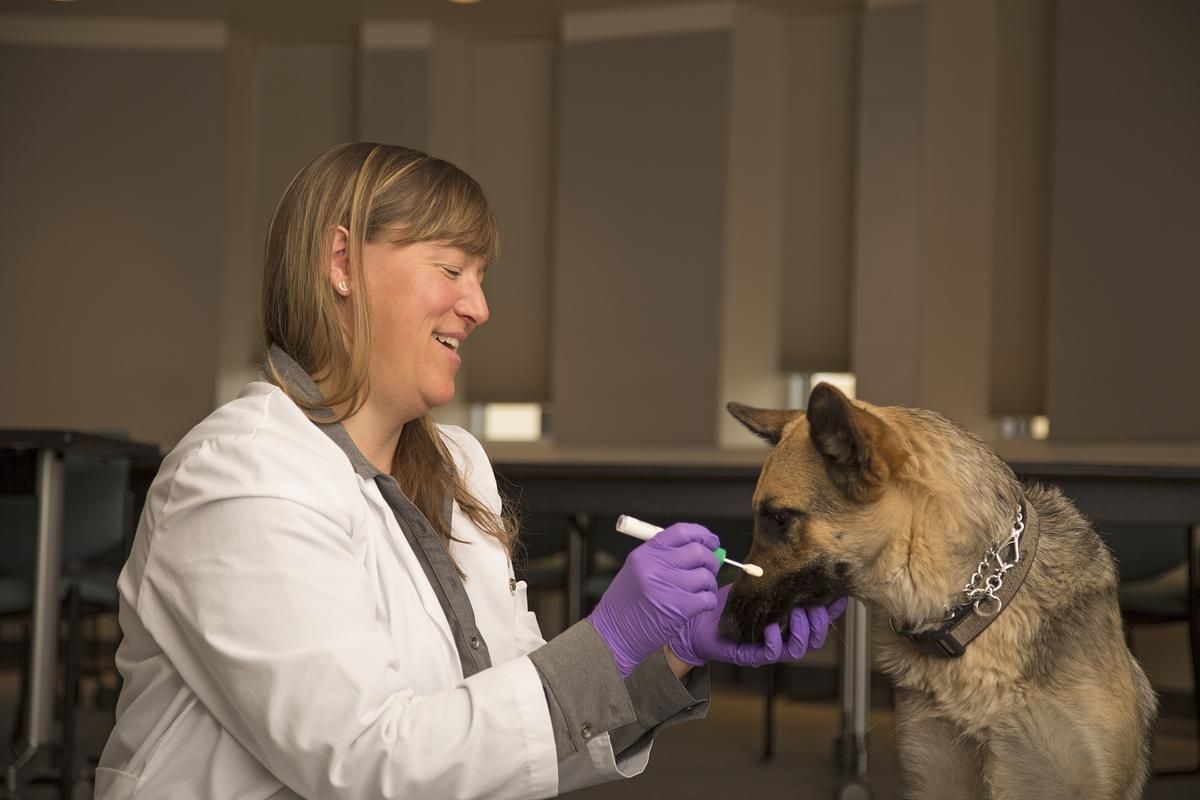 Dr. Barker wears a white doctor's coat and works with a German Shepherd dog.